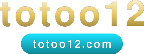 totoo12 logo